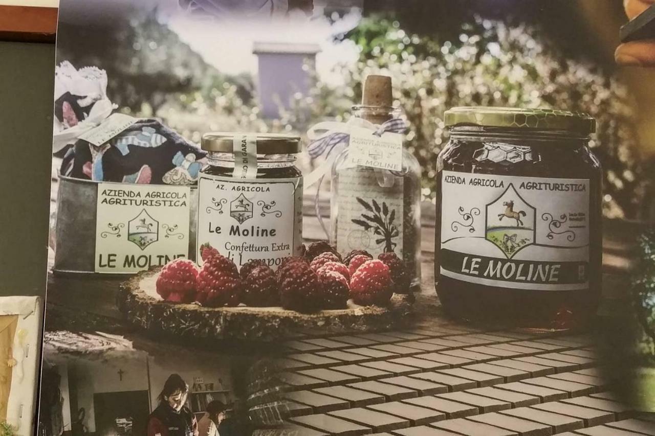 Piccolo Casale A "Le Moline" In Una Vera Fattoria 维特拉 外观 照片