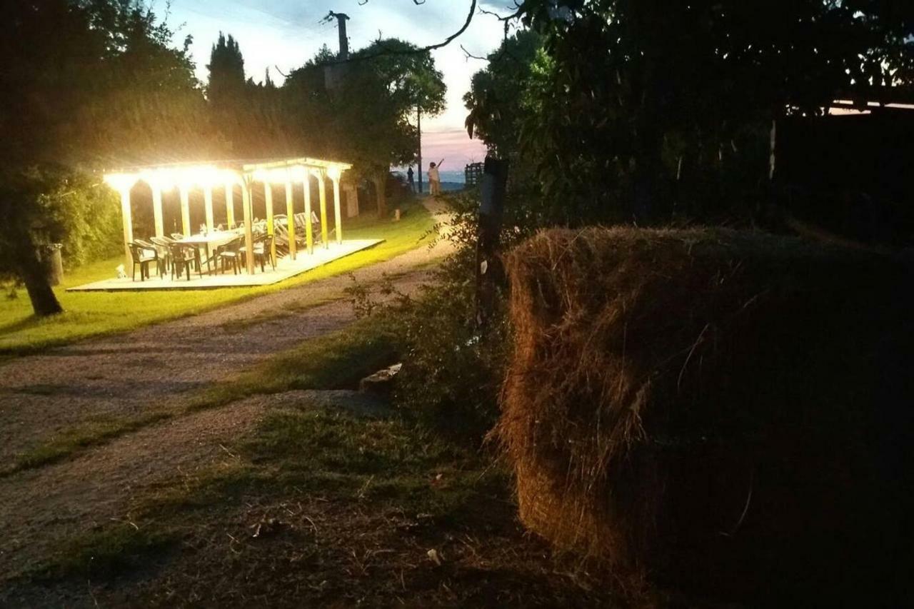 Piccolo Casale A "Le Moline" In Una Vera Fattoria 维特拉 外观 照片
