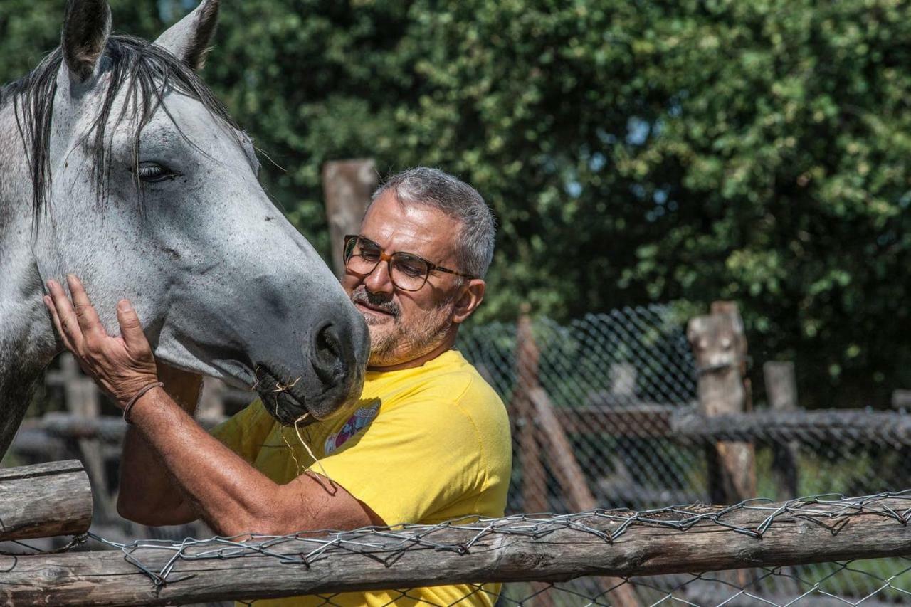 Piccolo Casale A "Le Moline" In Una Vera Fattoria 维特拉 外观 照片