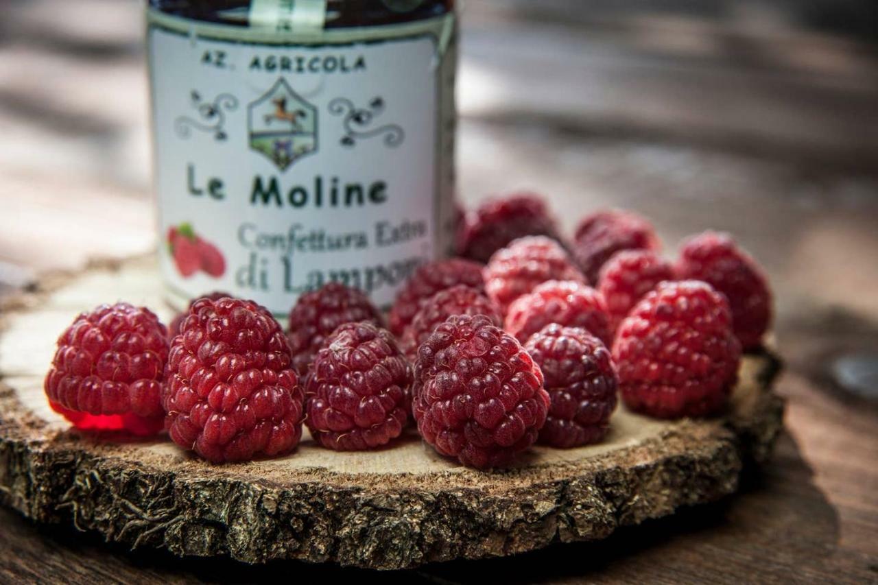 Piccolo Casale A "Le Moline" In Una Vera Fattoria 维特拉 外观 照片