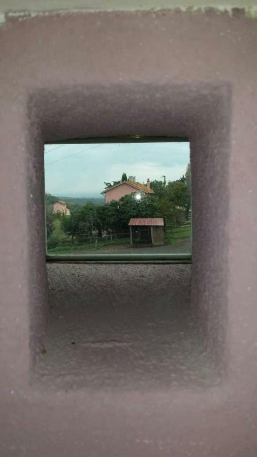 Piccolo Casale A "Le Moline" In Una Vera Fattoria 维特拉 外观 照片
