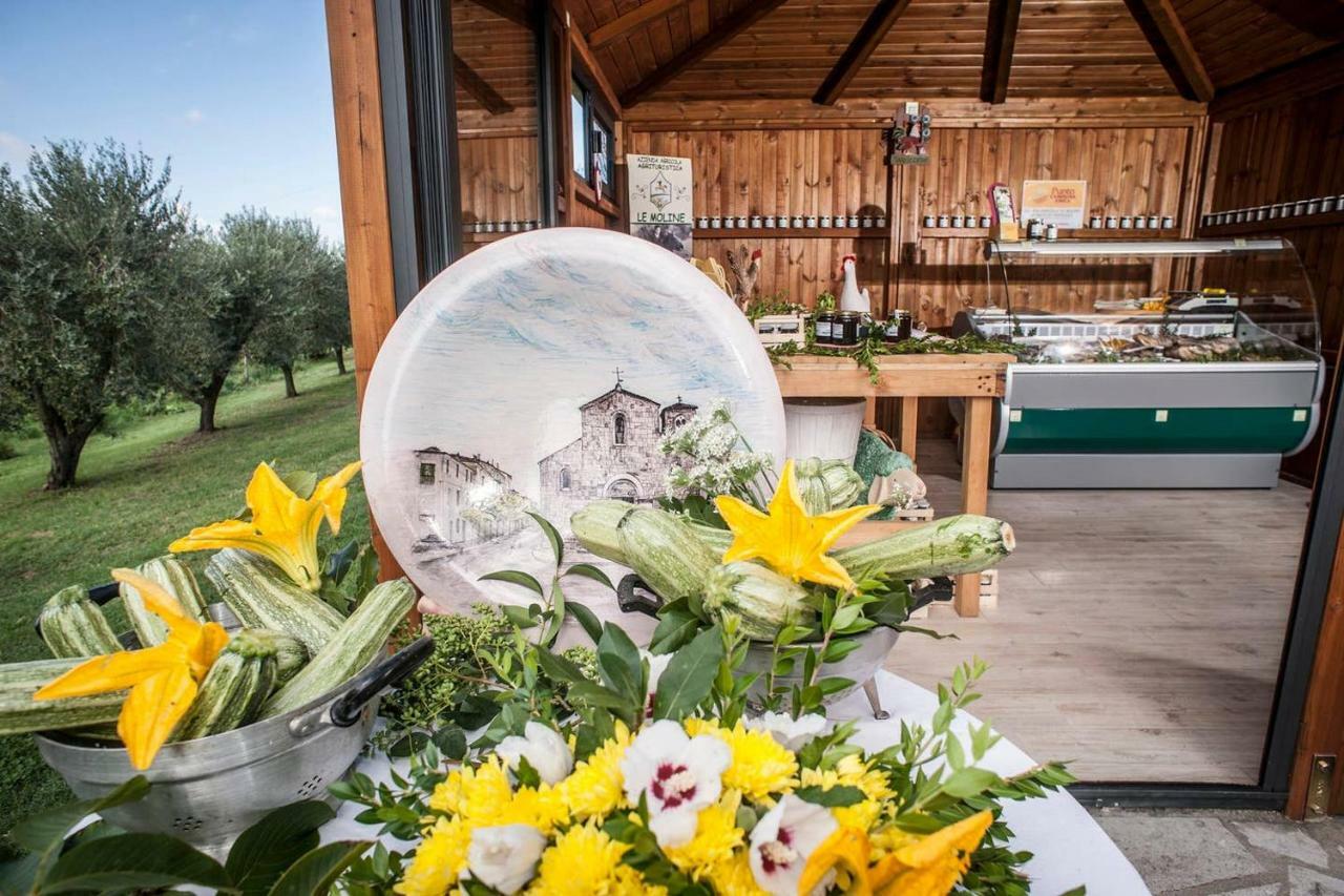 Piccolo Casale A "Le Moline" In Una Vera Fattoria 维特拉 外观 照片
